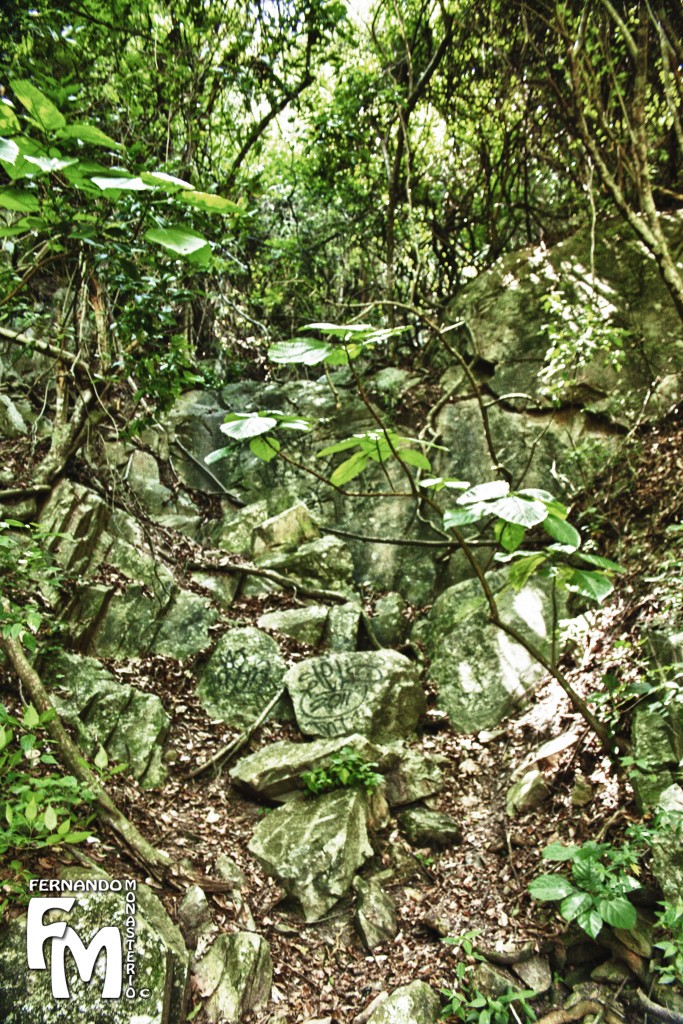 Foto: CASCADA - Parque Nacional El Avila (Distrito Capital), Venezuela