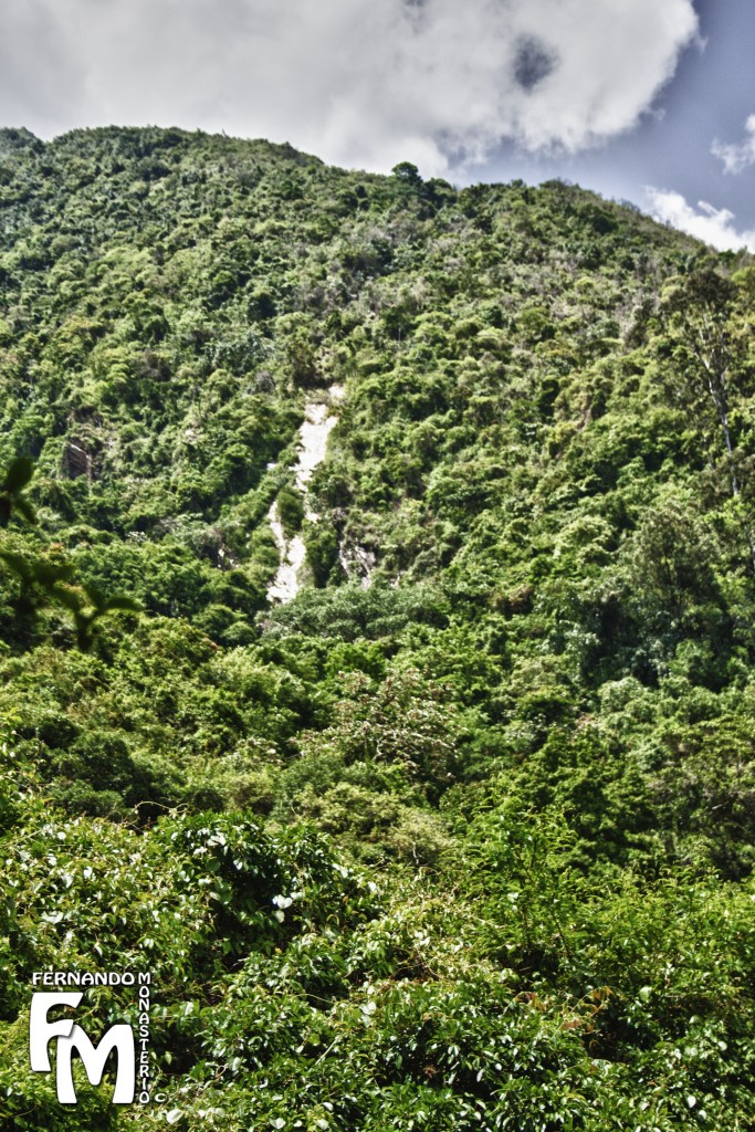 Foto: CASCADA - Parque Nacional El Avila (Distrito Capital), Venezuela