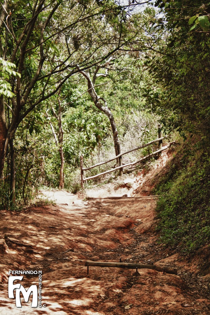 Foto: CASCADA - Parque Nacional El Avila (Distrito Capital), Venezuela