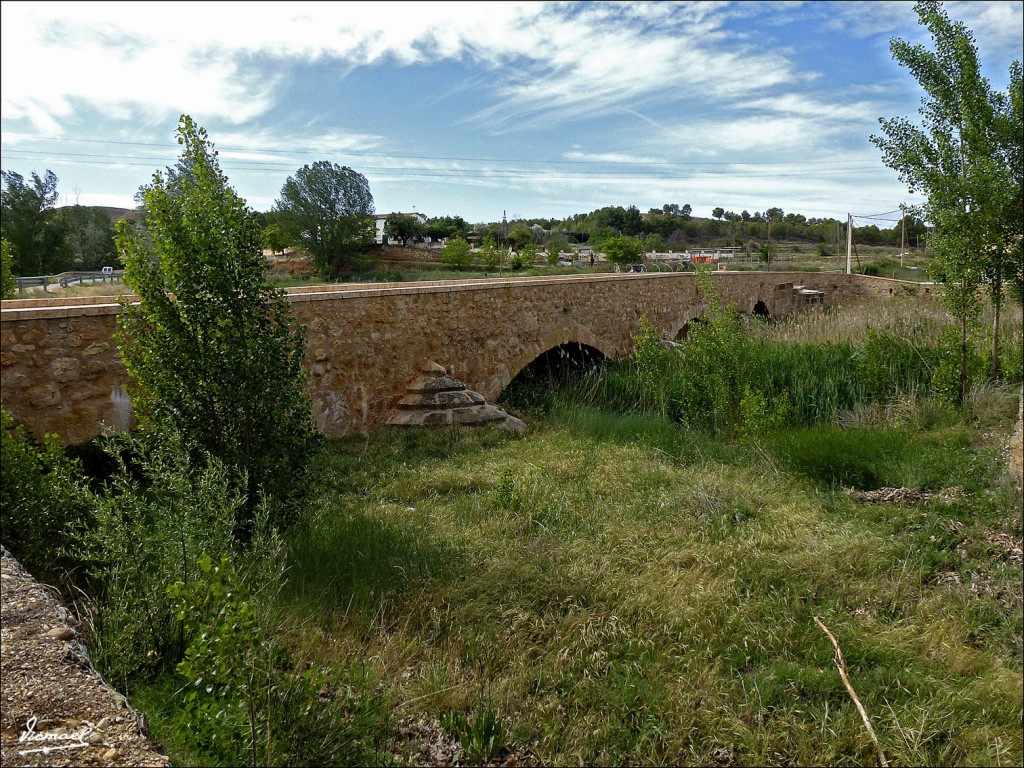 Foto: 120607-04 ARIZA - Ariza (Zaragoza), España