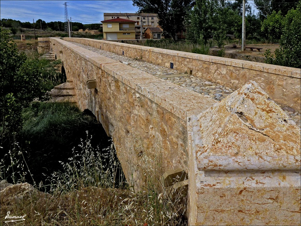 Foto: 120607-05 ARIZA - Ariza (Zaragoza), España