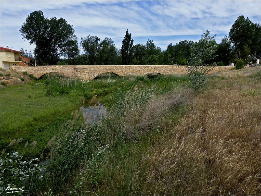 Foto: 120607-09 ARIZA - Ariza (Zaragoza), España