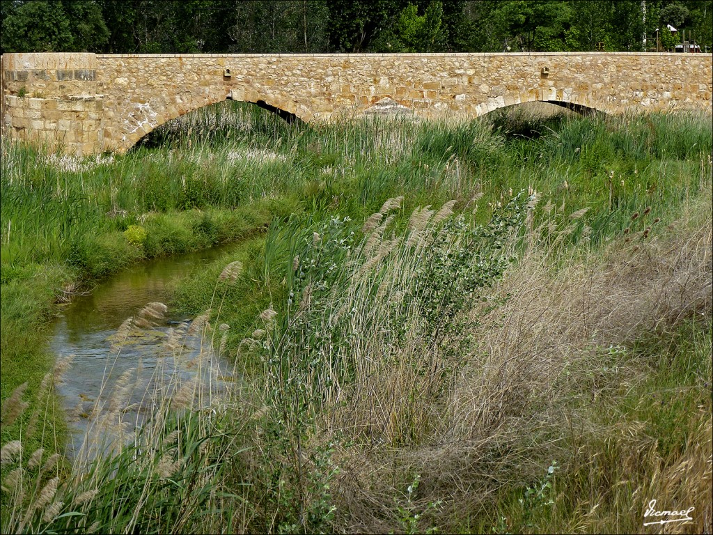 Foto: 120607-10 ARIZA - Ariza (Zaragoza), España