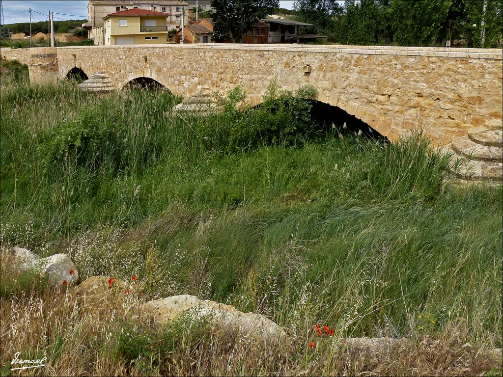 Foto: 120607-11 ARIZA - Ariza (Zaragoza), España