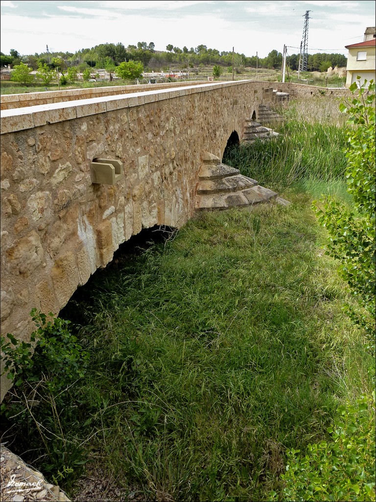 Foto: 120607-13 ARIZA - Ariza (Zaragoza), España