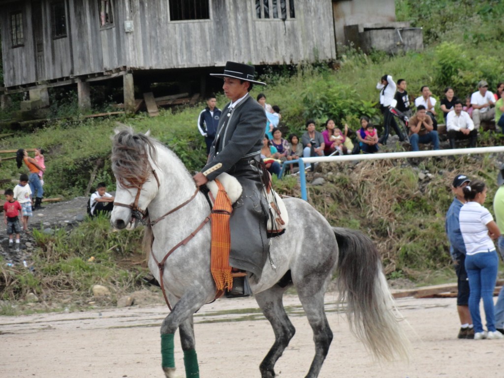 Foto: Rejoniador. - Simón Bolívar (Mushullacta) (Pastaza), Ecuador
