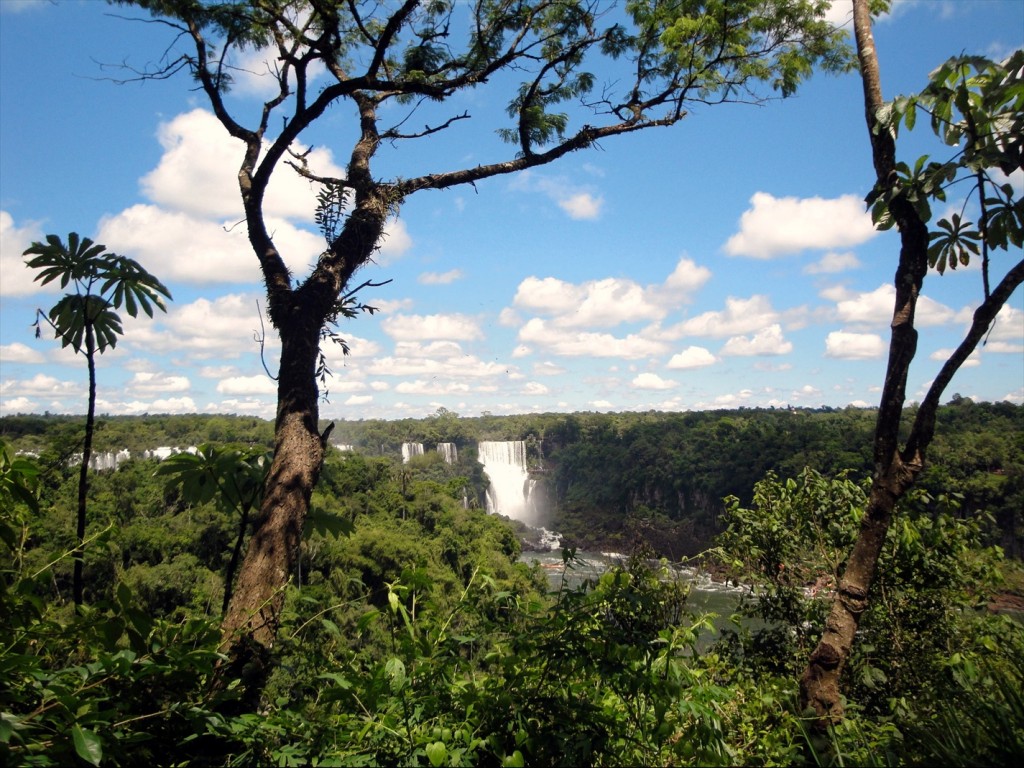 Foto: Parque Nacional do Iguaçú - Foz do Iguaçú (Paraná), Brasil