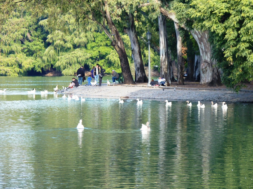Foto: Lago de regatas - Palermo - Ciudad Autónoma de Buenos Aires (Buenos Aires), Argentina