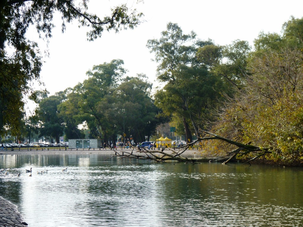 Foto: Lago de regatas - Palermo - Ciudad Autónoma de Buenos Aires (Buenos Aires), Argentina