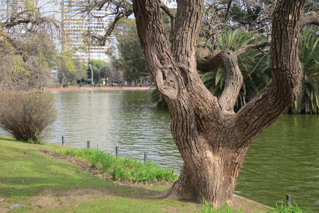 Foto: Parque Tres de Febrero. - Ciudad de Buenos Aires (Buenos Aires), Argentina