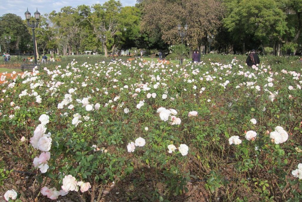 Foto: Parque Tres de Febrero. - Ciudad de Buenos Aires (Buenos Aires), Argentina