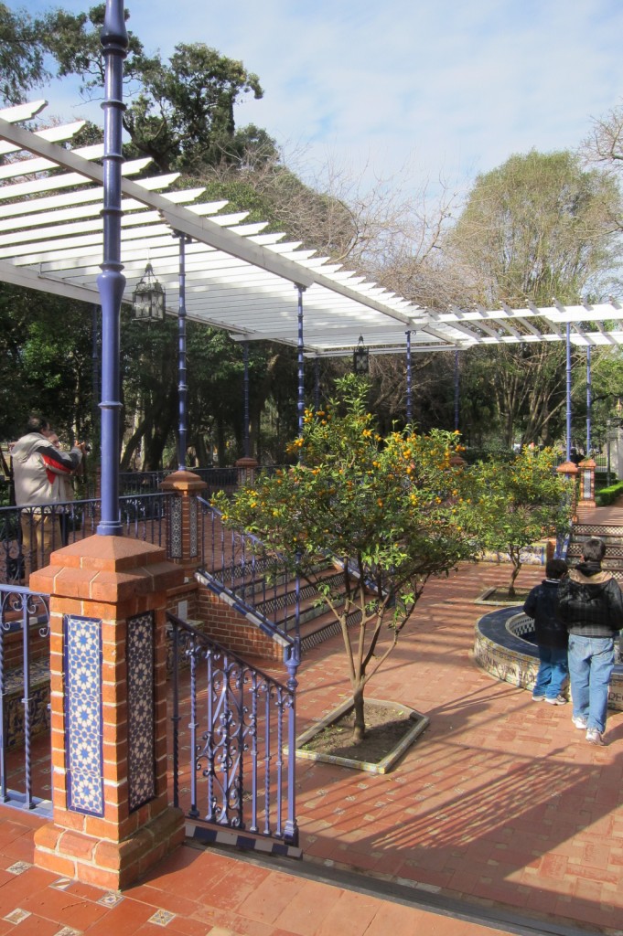 Foto: Parque Tres de Febrero. - Ciudad de Buenos Aires (Buenos Aires), Argentina