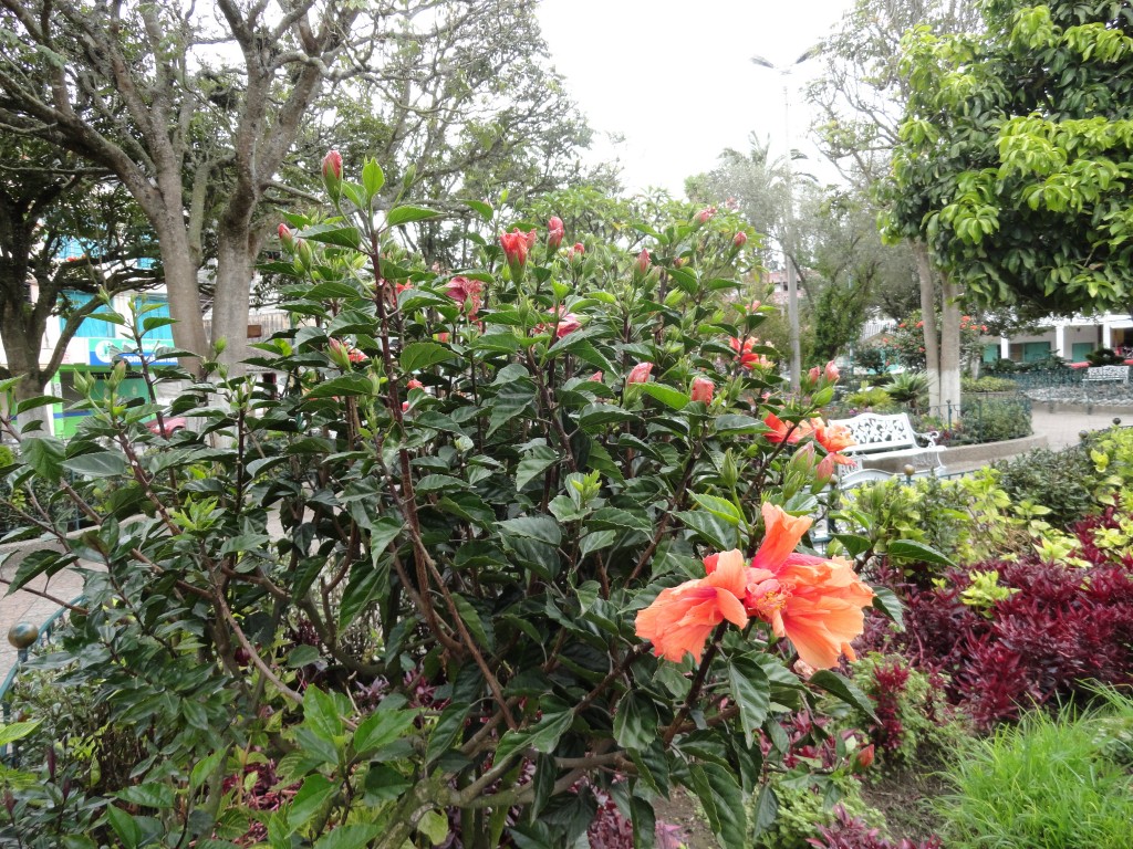 Foto: Parque central - Patate (Tungurahua), Ecuador