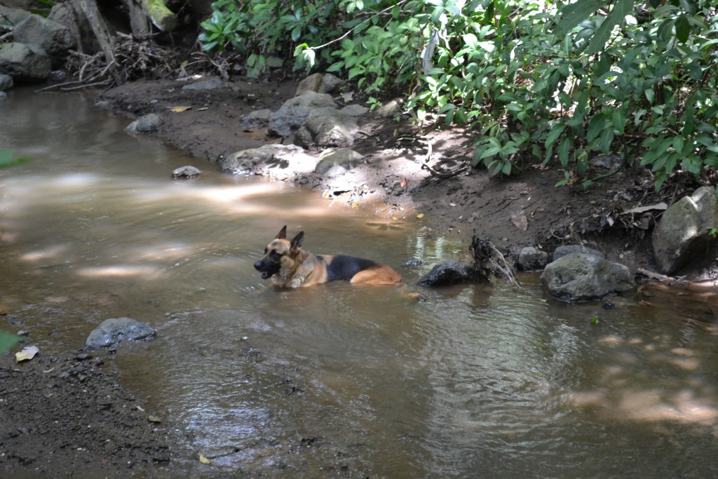 Foto de Nicoya (Guanacaste), Costa Rica