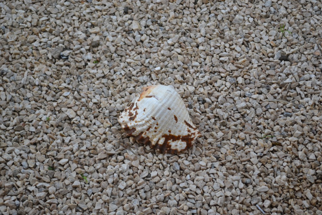 Foto de Nicoya (Guanacaste), Costa Rica