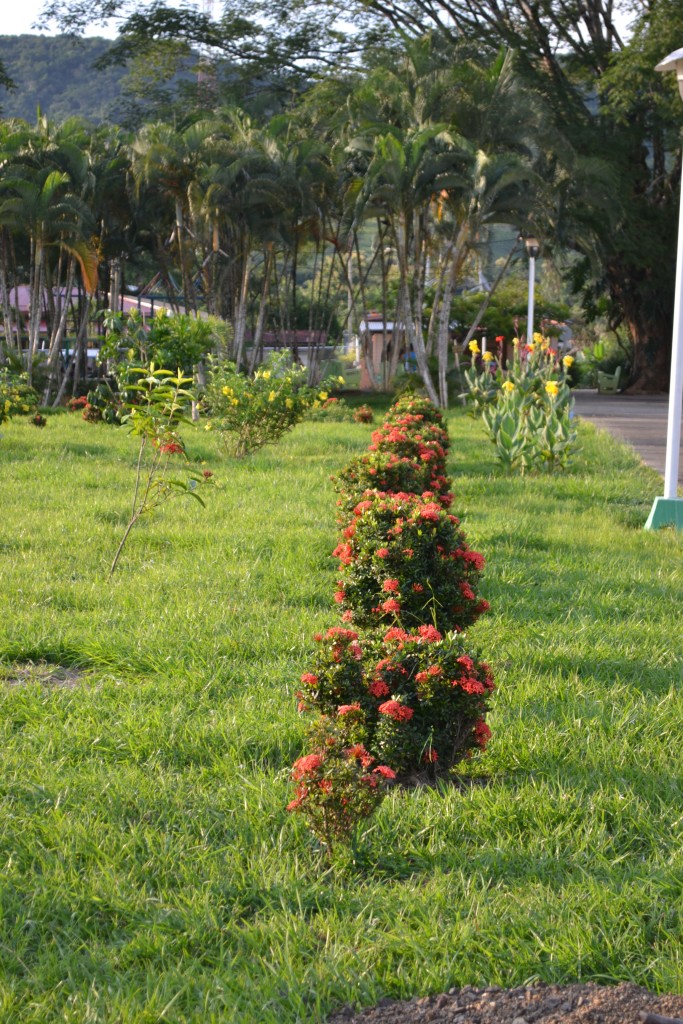 Foto de Hojancha (Guanacaste), Costa Rica