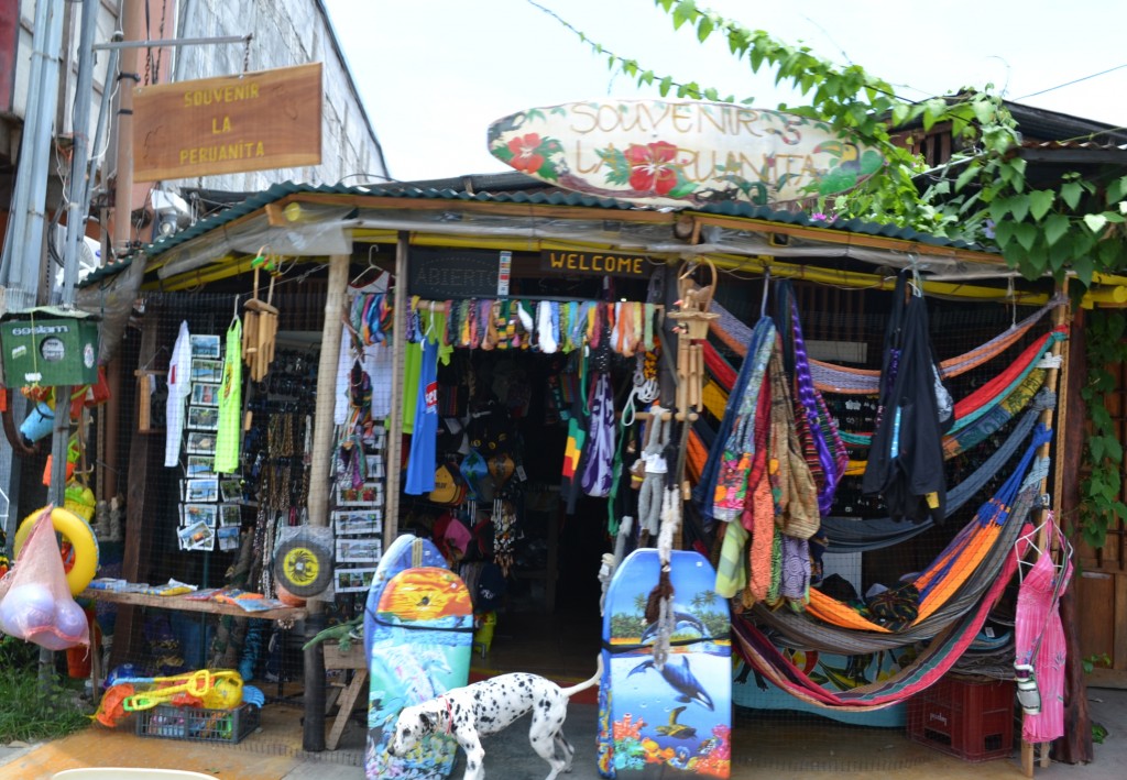 Foto de Playa Carrillo (Guanacaste), Costa Rica