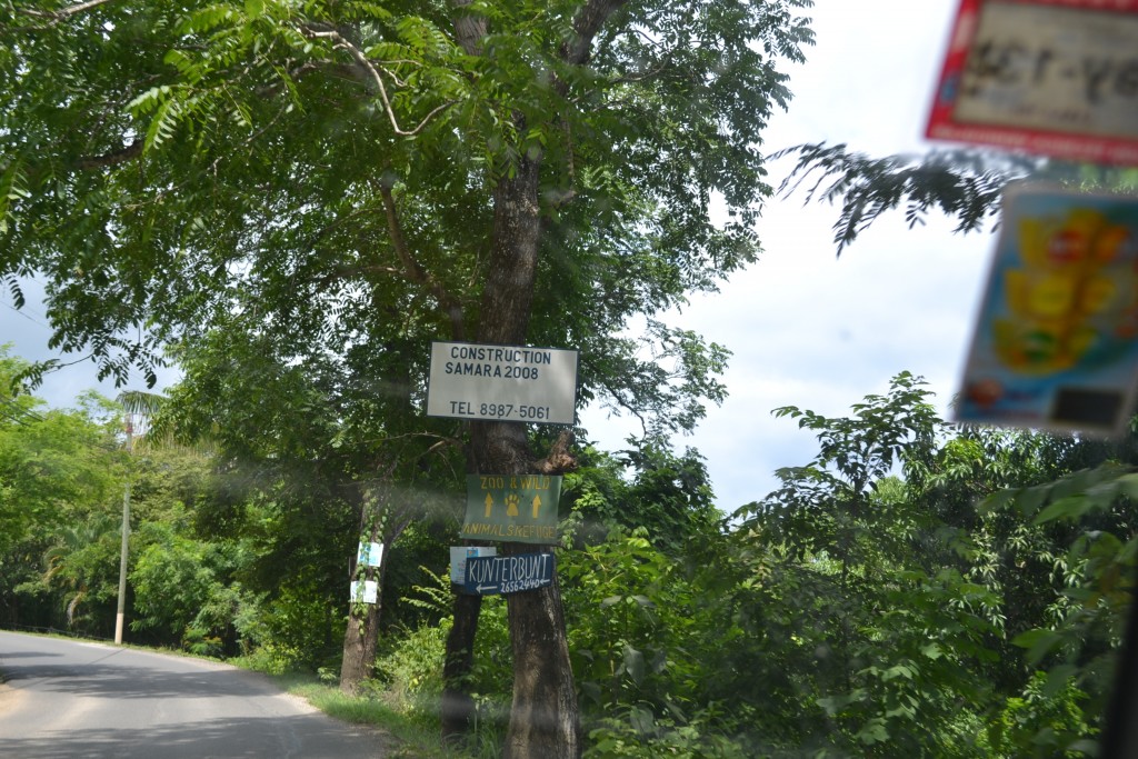Foto de Playa Carrillo (Guanacaste), Costa Rica