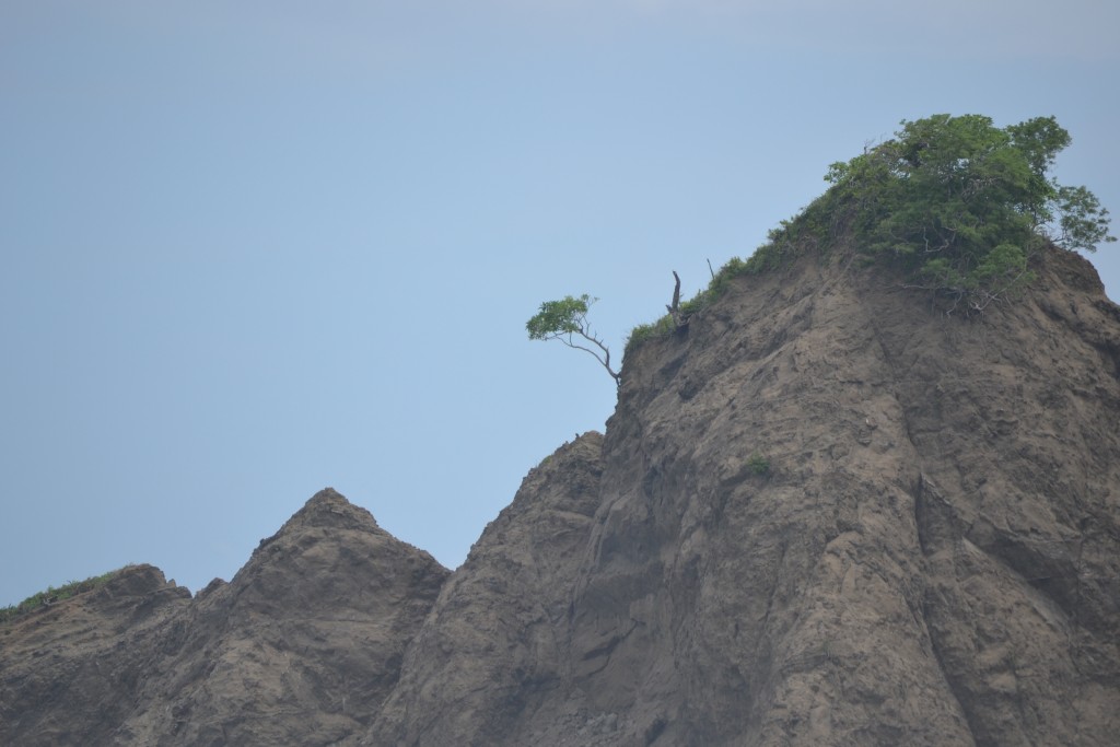 Foto de Playa Carrillo (Guanacaste), Costa Rica