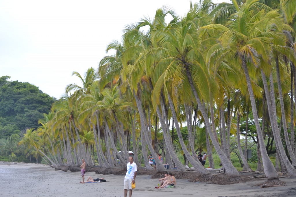 Foto de Playa Carrillo (Guanacaste), Costa Rica