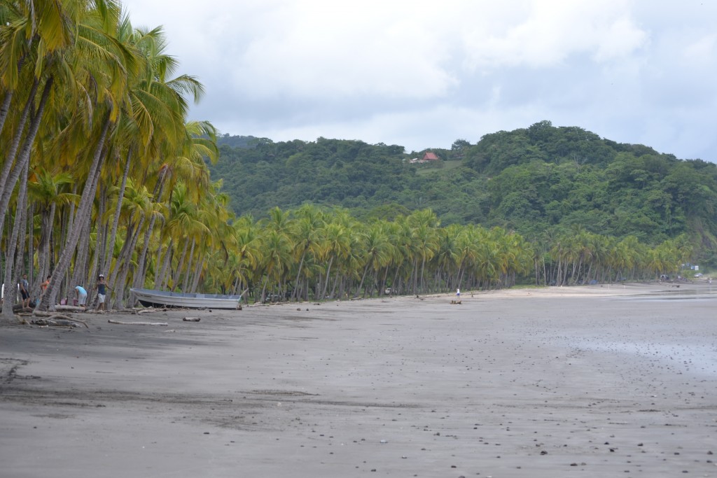 Foto de Playa Carrillo (Guanacaste), Costa Rica
