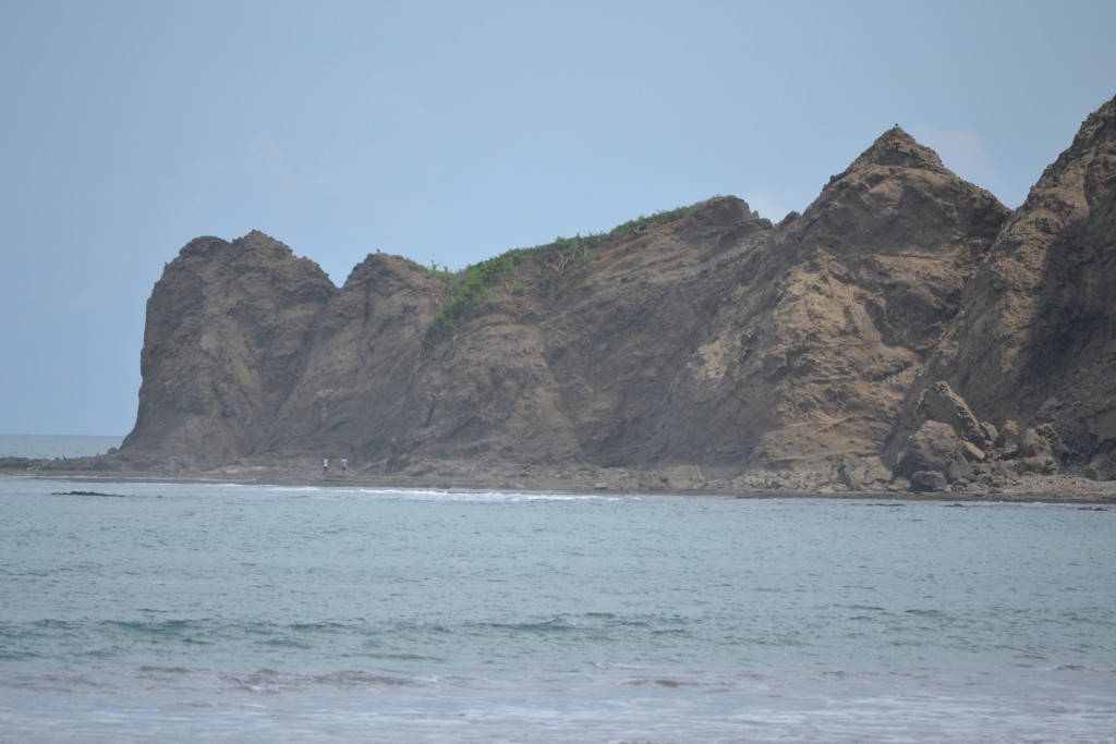 Foto de Playa Carrillo (Guanacaste), Costa Rica