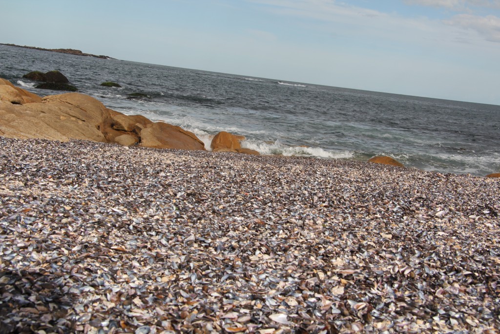Foto de Cabo Polonio (Rocha), Uruguay