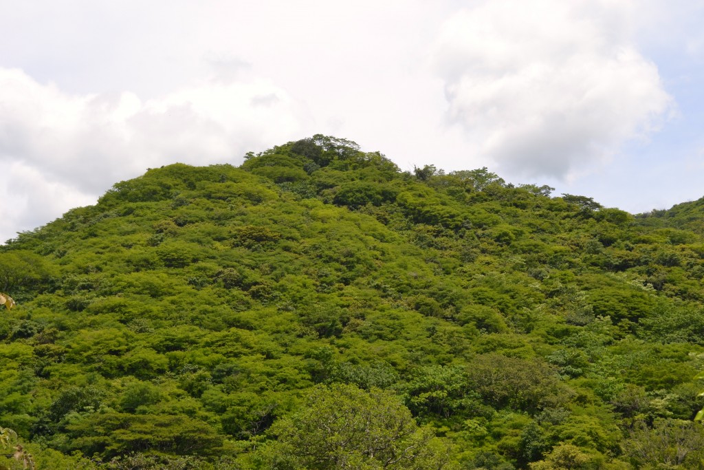 Foto de Nicoya (Guanacaste), Costa Rica