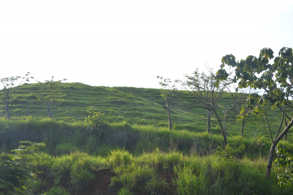 Foto de Nicoya (Guanacaste), Costa Rica