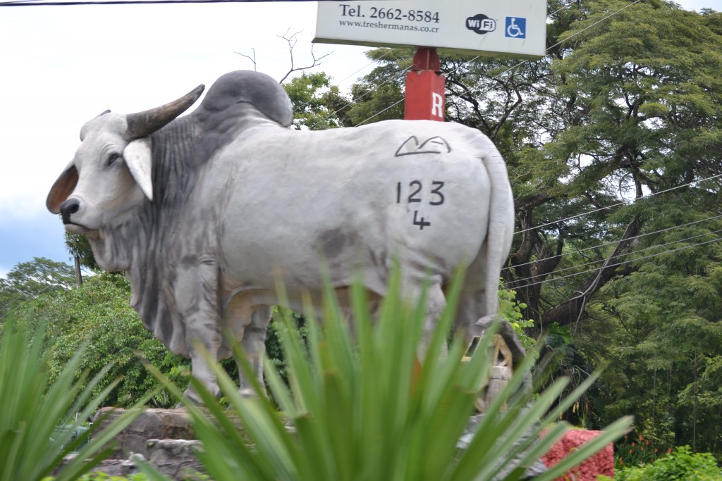 Foto de Nicoya (Guanacaste), Costa Rica
