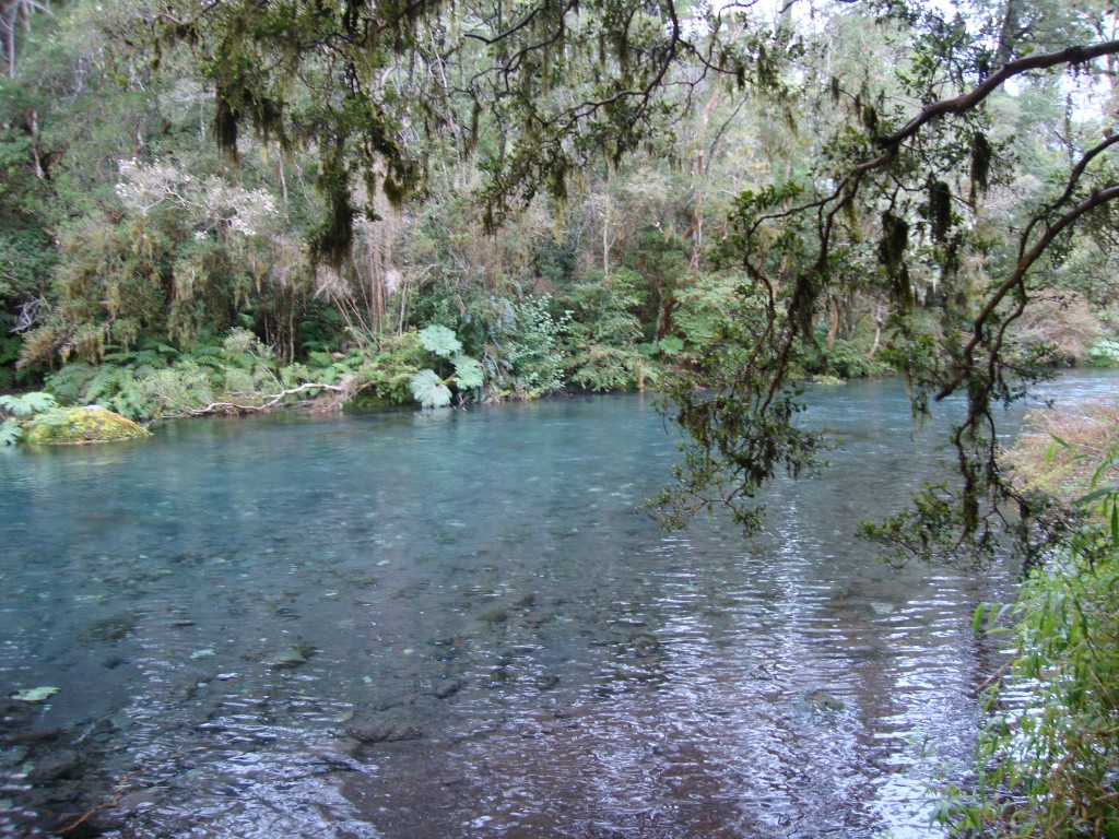 Foto de Saltos del Petrohue (Región de Los Ríos), Chile