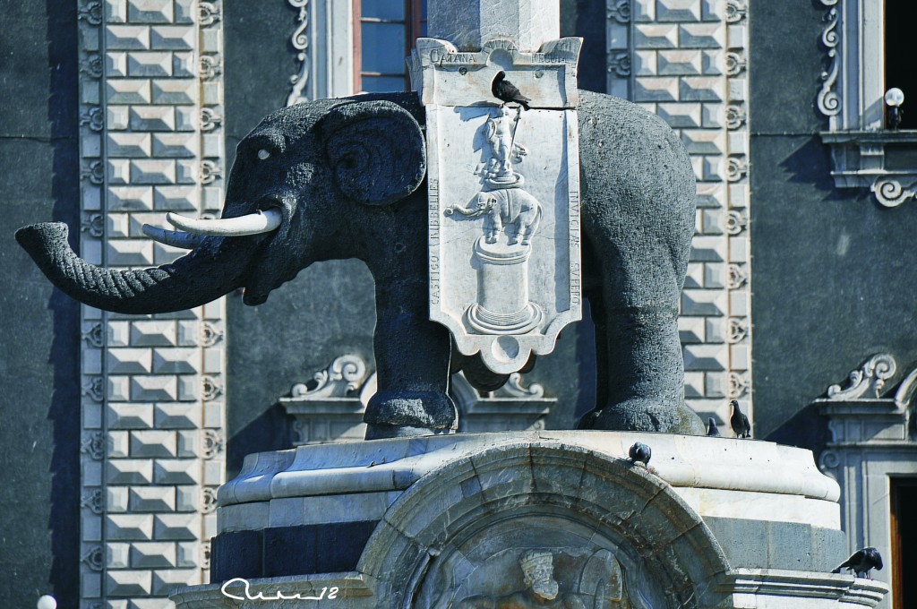 Foto: Fontana dell Elefante - Catania, Italia