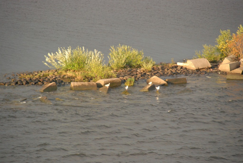 Foto de San Petersburgo, Rusia