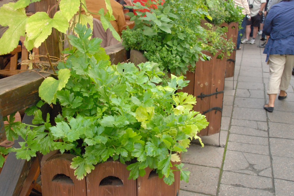 Foto de Tallin, Estonia