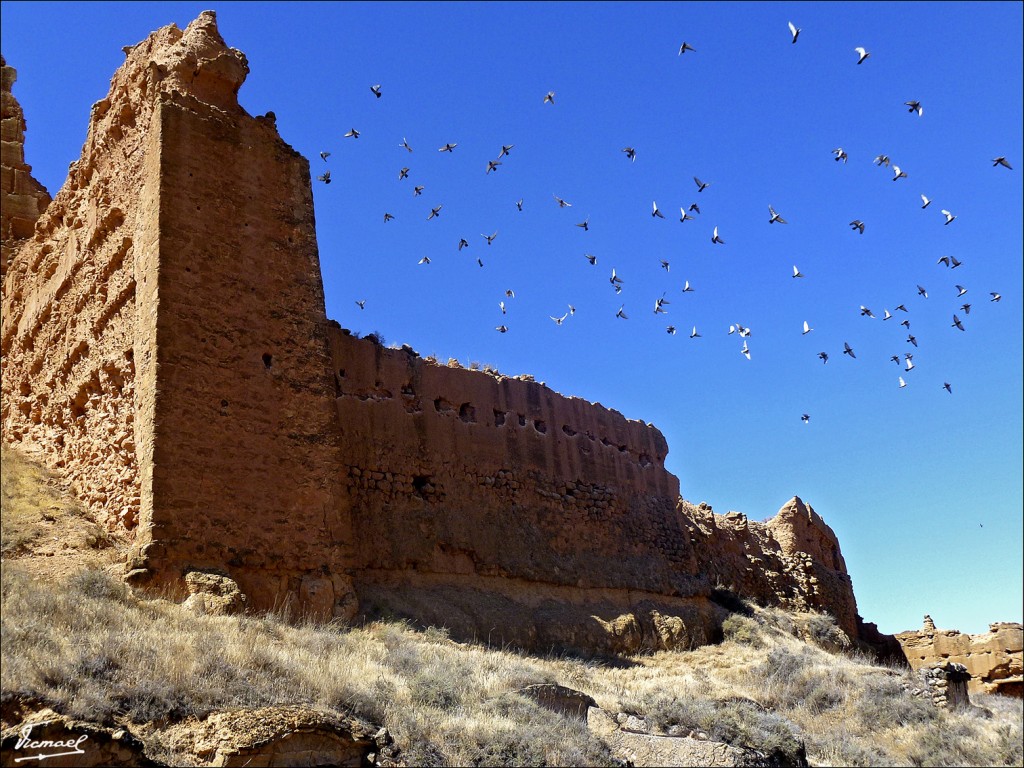 Foto: 120713-05 MONREAL DE ARIZA - Monreal De Ariza (Zaragoza), España