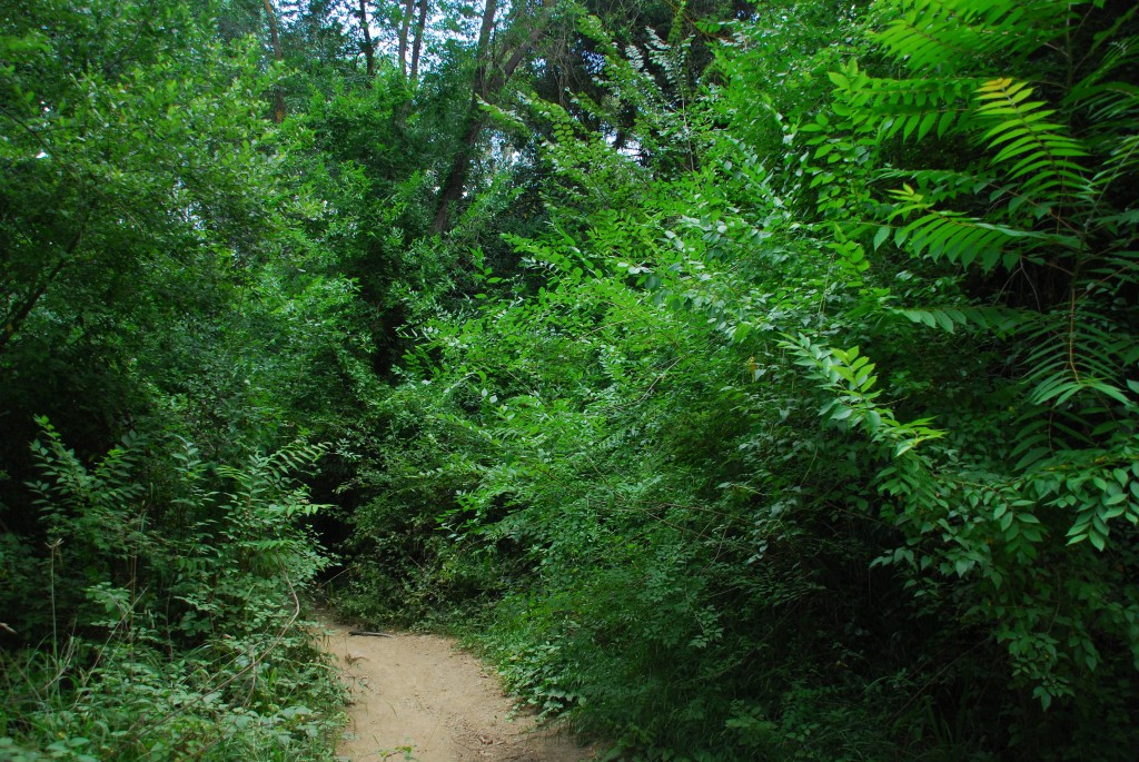 Foto de Vallvidrera (Barcelona), España