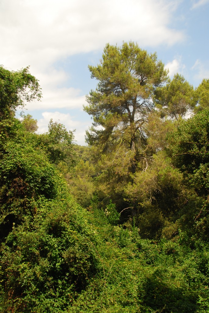 Foto de Vallvidrera (Barcelona), España