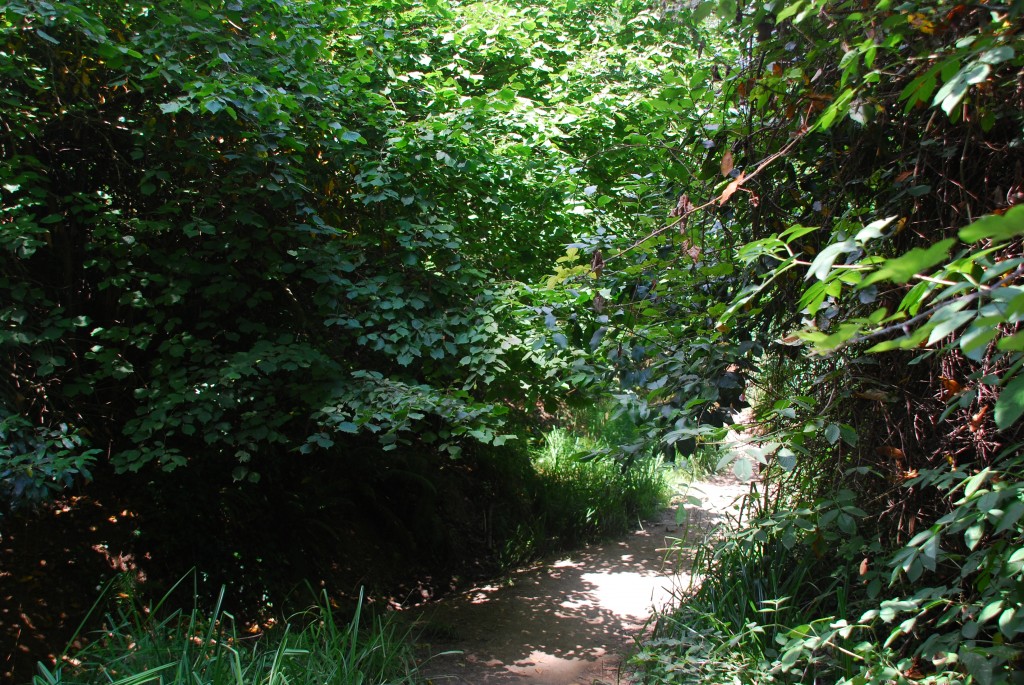 Foto de Vallvidrera (Barcelona), España