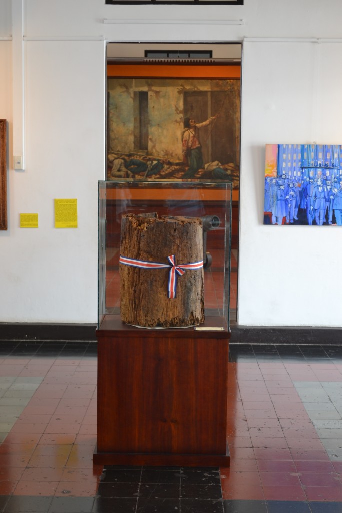 Foto: AUTOR: GABRIELA UREÑA - Alajuela, Costa Rica