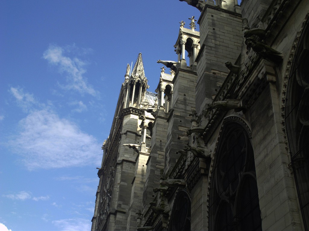 Foto: NOTRE DAME DE PARIS - Paris, Francia