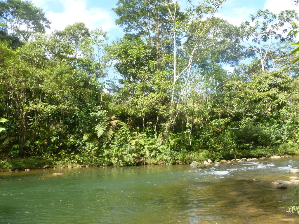 Foto: Río Sandalias - Veracruz (Pastaza), Ecuador