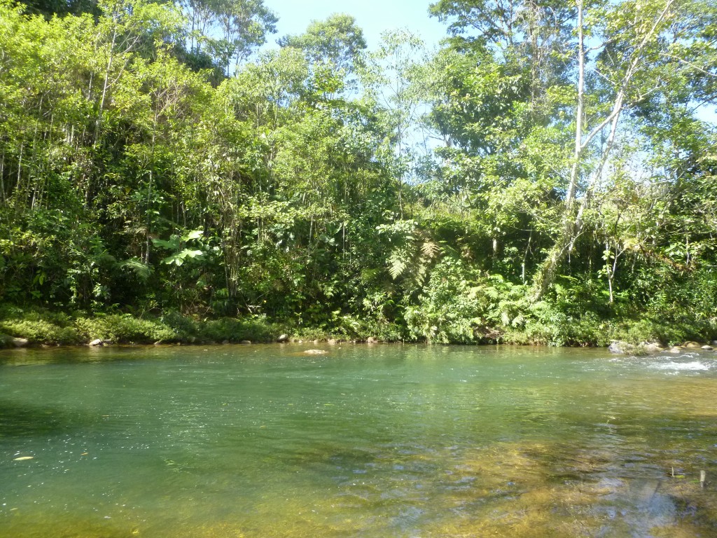 Foto: Río Sandalias - Veracruz (Pastaza), Ecuador