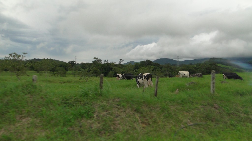 Foto de Distito de Aguas Claras (Alajuela), Costa Rica