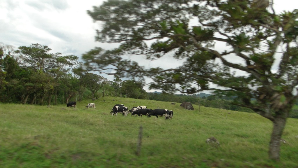 Foto de Distito de Aguas Claras (Alajuela), Costa Rica