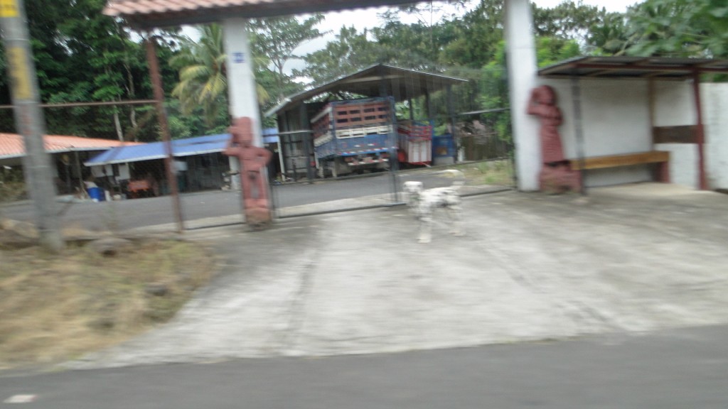 Foto de Distito de Aguas Claras (Alajuela), Costa Rica