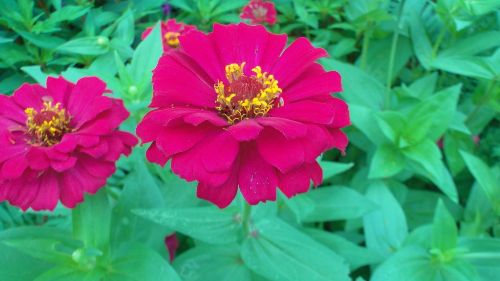 Foto: Naturaleza - Upala (Alajuela), Costa Rica