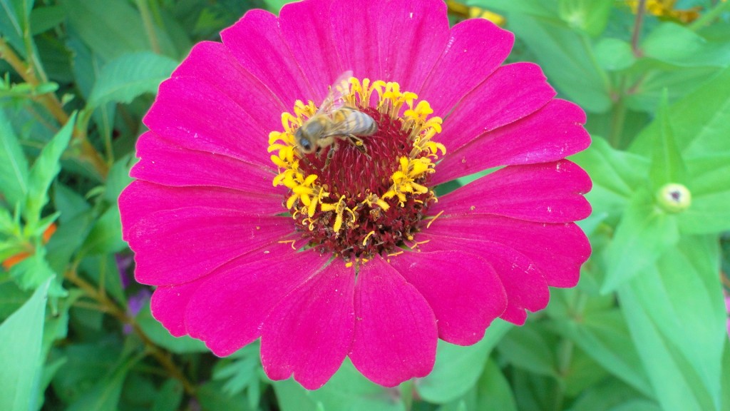 Foto: Naturaleza - Upala (Alajuela), Costa Rica