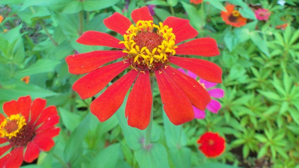 Foto: Naturaleza - Upala (Alajuela), Costa Rica