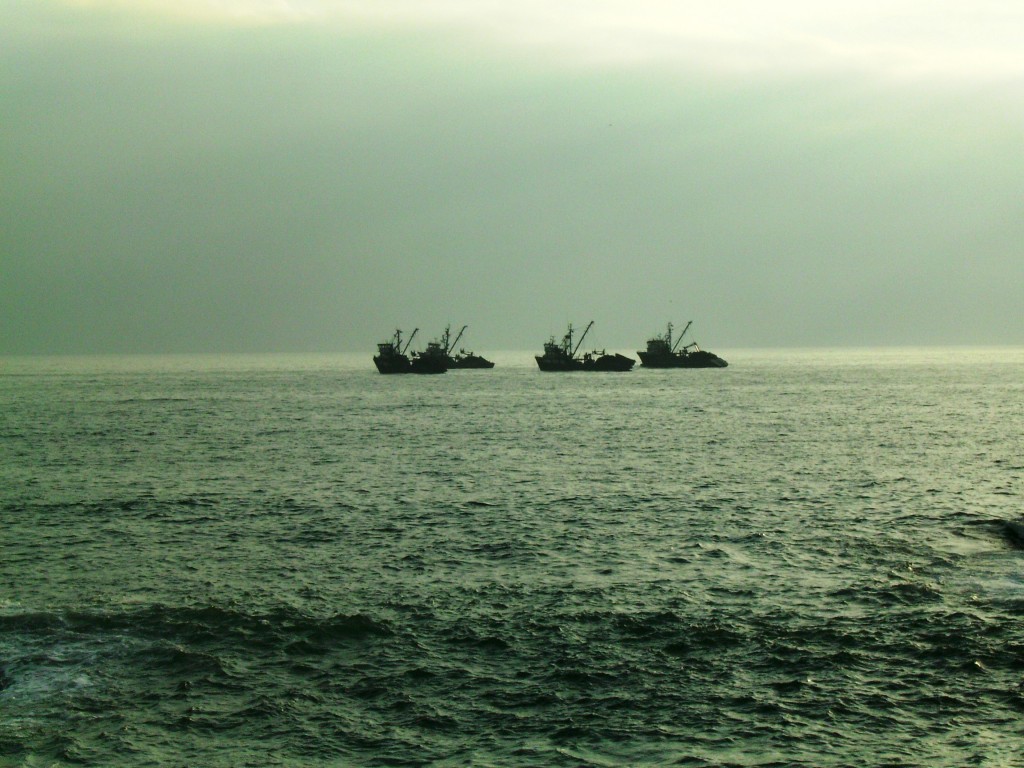 Foto: Chile - Iquique (Antofagasta), Chile