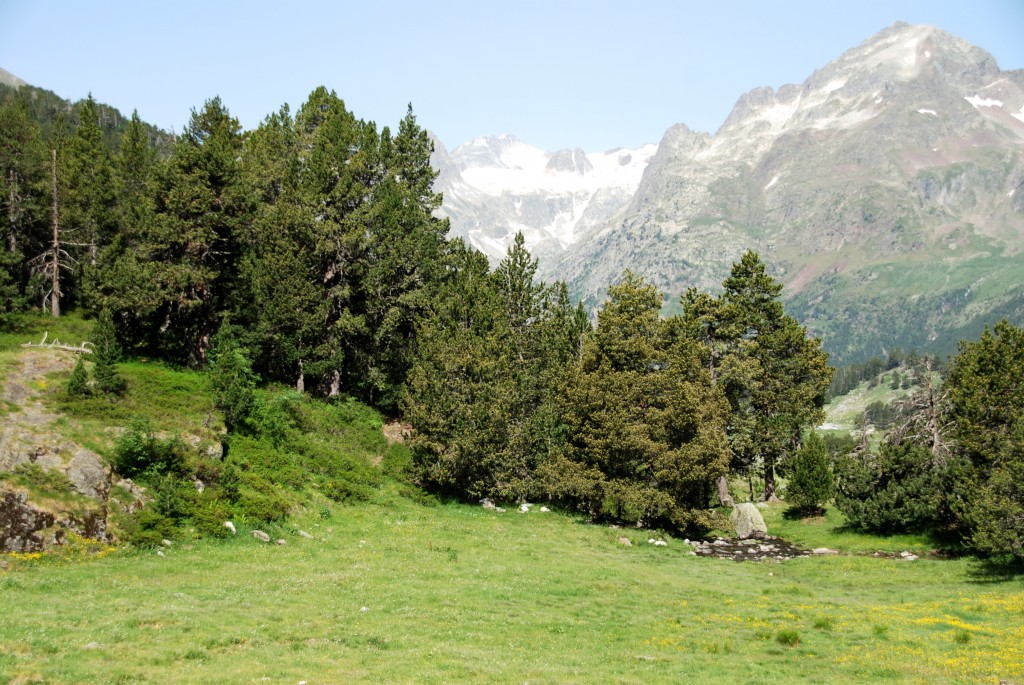 Foto de Valle de Benasque (Huesca), España